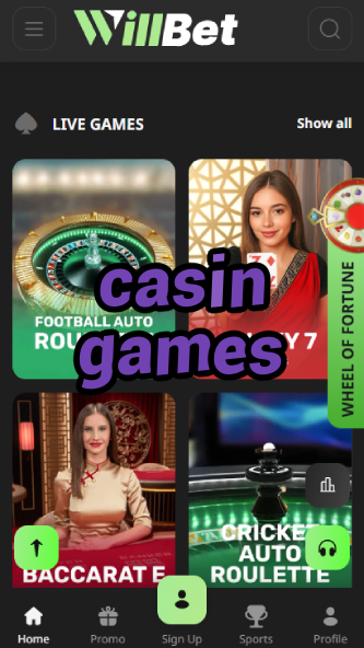 Casin Games - Comprehensive Casino Game Guide-www.bdqngd.com